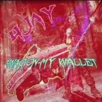 Luci4 - Swag on My Wallet