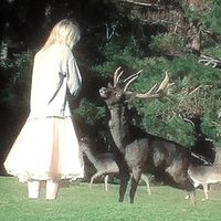 Mieke - when bambi found her mother
