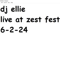DJ Ellie - The FL Studio Incident (Live At Zest Fest 6-2-24)