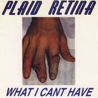 Plaid Retina - What I Can't Have