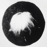 Sister Grotto - Blindside