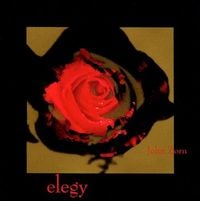 John Zorn - Elegy