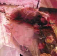中森明菜 [Akina Nakamori] - I Hope So
