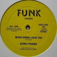Evans Pyramid - Never Gonna Leave You