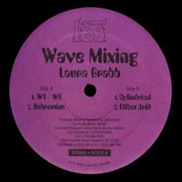 Laura Grabb - Wave Mixing