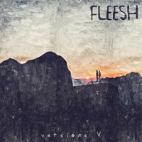 Fleesh - Versions V