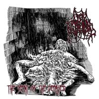 Open Flesh Wound - The Scent of the Decayed