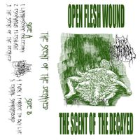 Open Flesh Wound - The Scent of the Decayed (Redux)