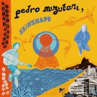 Pedro Mizutani - Pensando Baixo
