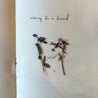 lighthearted - Asking for a Friend
