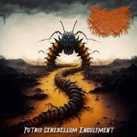 Desecrated Extinction - Putrid Cerebellum Engulfment