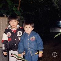 스윙스 [Swings] - Vintage Swings