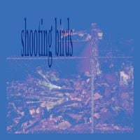 Shooting Birds - belong