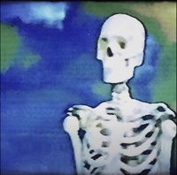 $PLIT - New Skeleton