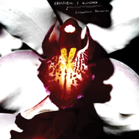 David Lynch - Sublime Eternal Love