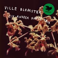 Liv Andrea Hauge - Ville Blomster