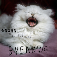 ANOHNI and the Johnsons - Breaking