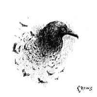 rouri404 - crows