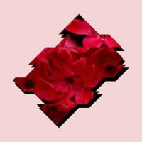 Dan Mason ダン&middot;メイソン - Florescence