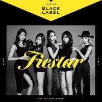 FIESTAR - Black Label