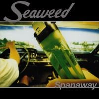 Seaweed - Spanaway