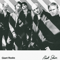 Giant Rooks - Pink Skies