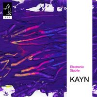 Roland Kayn - Electronic Stabile
