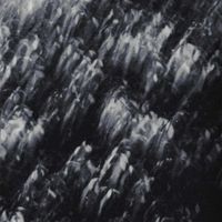 palmeras negras - s/t