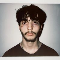 Coffee Stain - Comfortably Insane