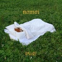 Thelastsunday - Namai