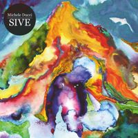 Michele Ducci - SIVE