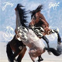 JNS - JEFF