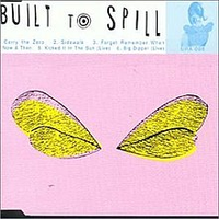 Built to Spill - Carry The Zero