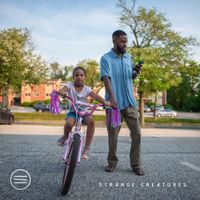 Stacked Like Pancakes - Strange Creatures