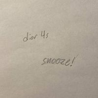 Snooze! - DIOR 4S