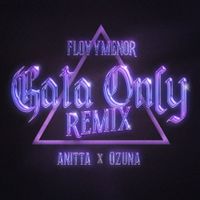 Anitta - Gata Only (Remix)