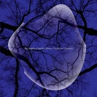 The Angelica Sanchez Nonet - Nighttime Creatures