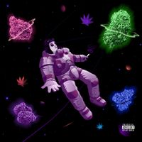 ROCKLEE - Prasines Vitamines