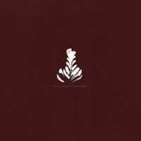 Athletics - Who You Are is Not Enough
