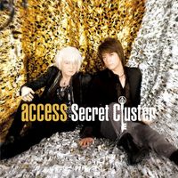 Access - Secret Cluster