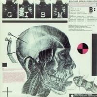 G.I.S.M. - Military Affairs Neurotic