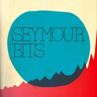 Seymour Bits - Seymour Bits