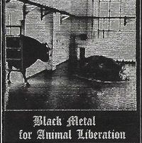 Glistening - Black Metal for Animal Liberation