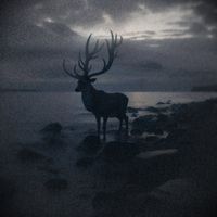 Atlantic - Black Sands