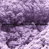 trentem&oslash;ller - Into the Great Wide Yonder
