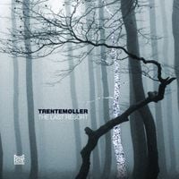 trentem&oslash;ller - The Last Resort