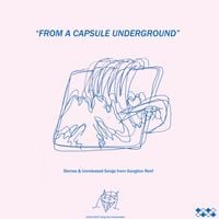 Wand - From a Capsule Underground