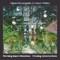 Elijah McLaughlin - Morning Improvisations / Evening Abstractions