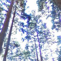 spoopy - spoopyelectronicboombapbreakcoreplunderphonicstriphophiphopsomethingidkmixtapethatimadeinlike2days​!​$​!​&​)​*​$​&​!​@