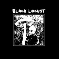 Black Locust - Black Locust